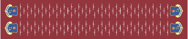 319 ARW Flight Scarf