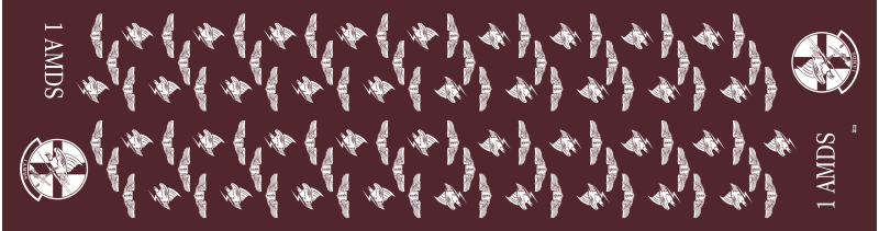 1 AMDS Flight Scarf