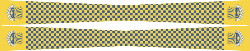 ACSC Flight Scarf