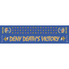 Image for 934 AES Flight Scarf