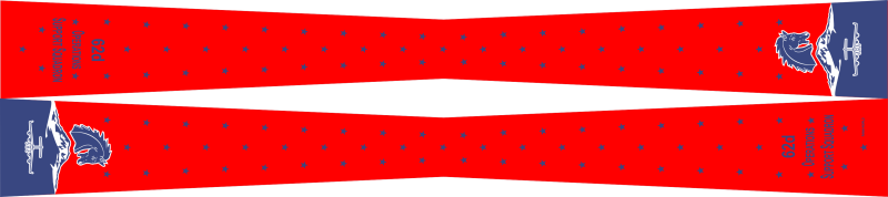 62 OSS Flight Scarf