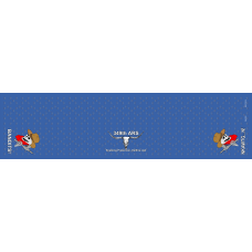 Image for 349 ARS Flight Scarf