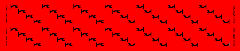 350 ARS Flight Scarf