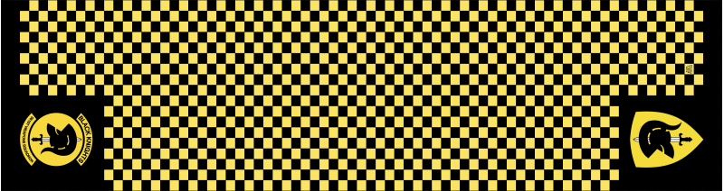 561 WPS Flight Scarf