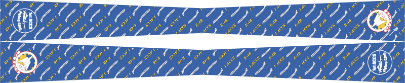 1 ACCS Flight Scarf