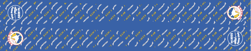 1 ACCS Flight Scarf