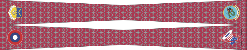 121 ARW Flight Scarf