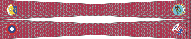 121 ARW Flight Scarf