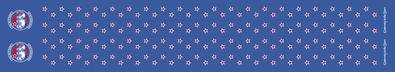 21 SOPS Flight Scarf