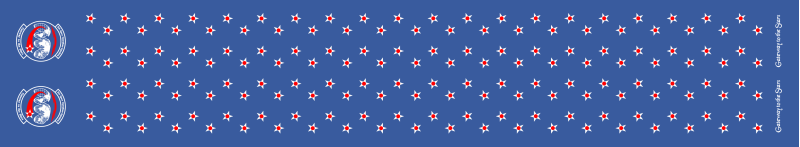 21 SOPS Flight Scarf