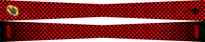 36 FS Flight Scarf