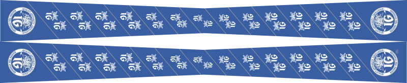 IG AFSPC Flight Scarf