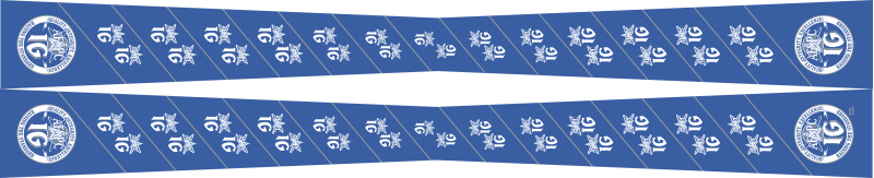 IG AFSPC Flight Scarf