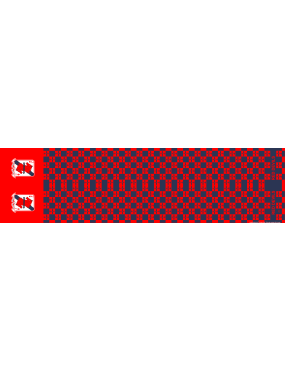 Image for 434 FTS Flight Scarf