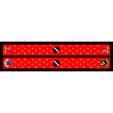 Image for 970 AACS Flight Scarf