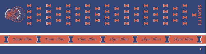 Univ of Illinois AFROTC DET 190 Flight Scarf
