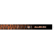 Image for Princeton University Bag Tag