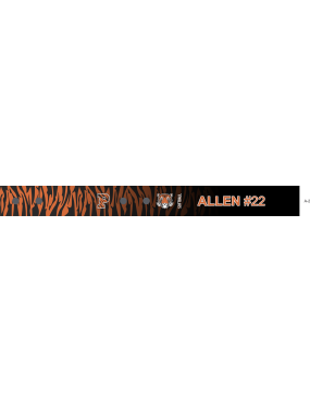Image for Princeton University Bag Tag