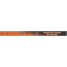 Image for Princeton Tennis Bag Tag