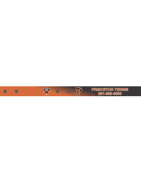 Image for Princeton Tennis Bag Tag