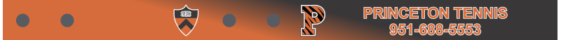 Princeton Tennis Bag Tag
