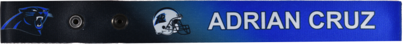 Panthers Bag Tag