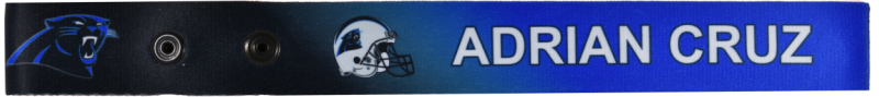 Panthers Bag Tag
