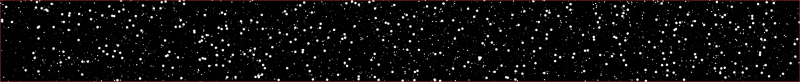 Space Bag Tag