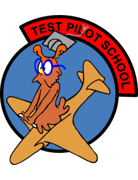 Image for USAF TPS Sticker