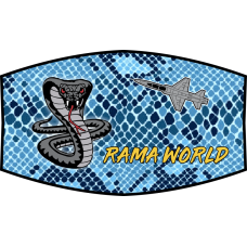 Image for 39 FTS Visor Cover